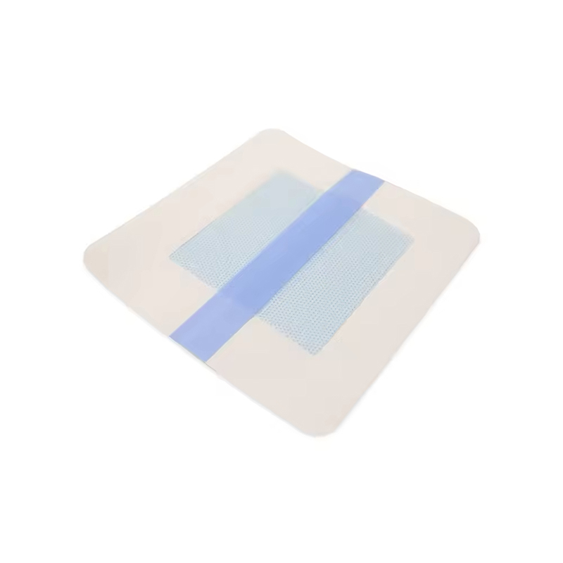 Transparent Hydrogel Dressing for Visual Wound Monitoring