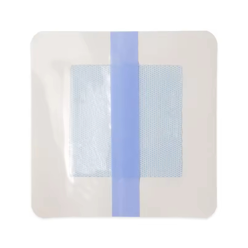 Transparent Hydrogel Dressing for Visual Wound Monitoring
