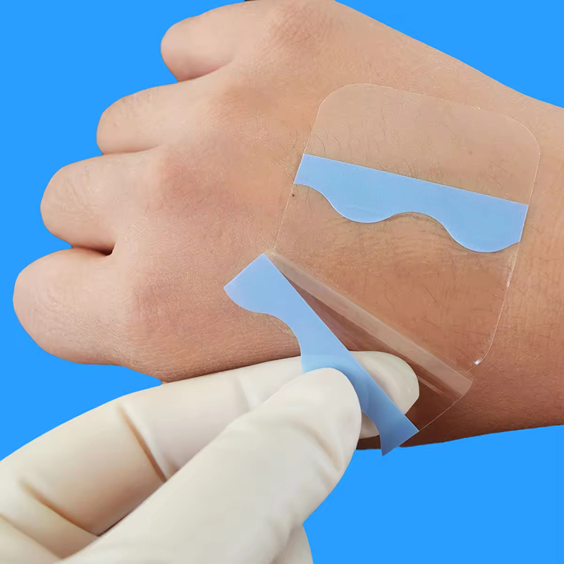 Transparent Hydrogel Dressing for Visual Wound Monitoring