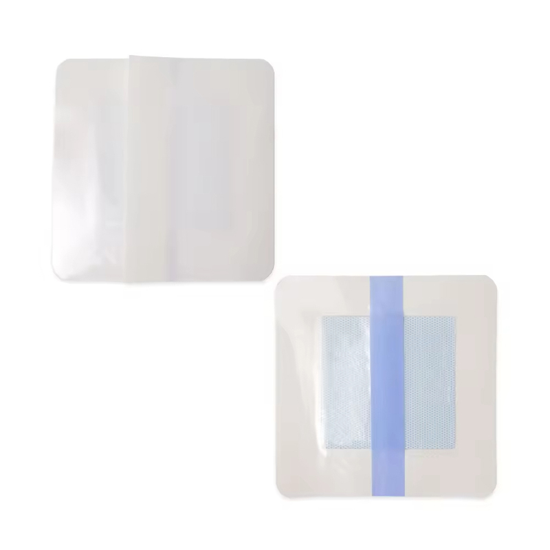 Transparent Hydrogel Dressing for Visual Wound Monitoring
