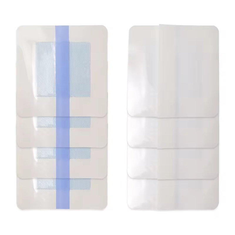 Transparent Hydrogel Dressing for Visual Wound Monitoring