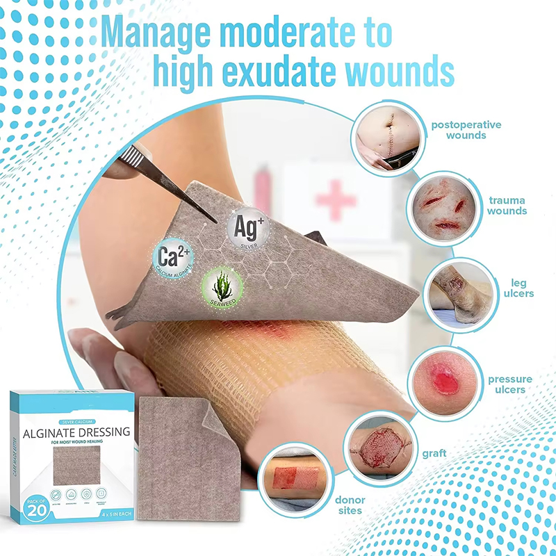 Silver-Infused Antibacterial Dressing for Infection Control