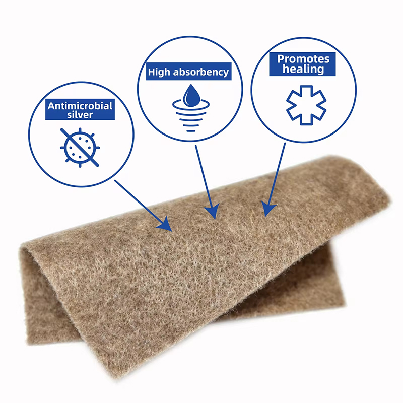 Silver-Infused Antibacterial Dressing for Infection Control