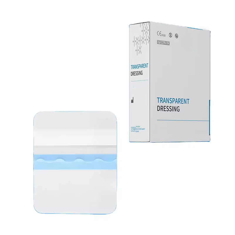 Transparent Hydrogel Dressing for Visual Wound Monitoring
