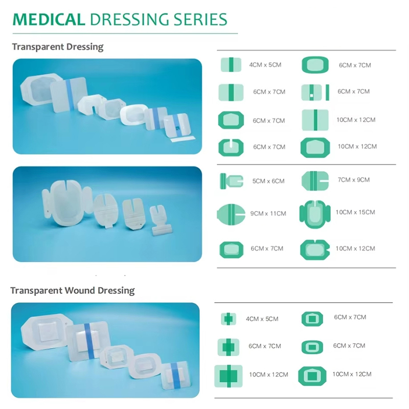Transparent Hydrogel Dressing for Visual Wound Monitoring