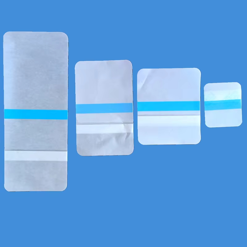 Transparent Hydrogel Dressing for Visual Wound Monitoring