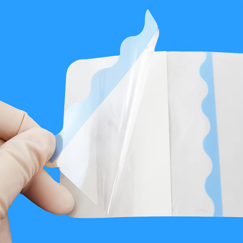 Transparent Hydrogel Dressing for Visual Wound Monitoring