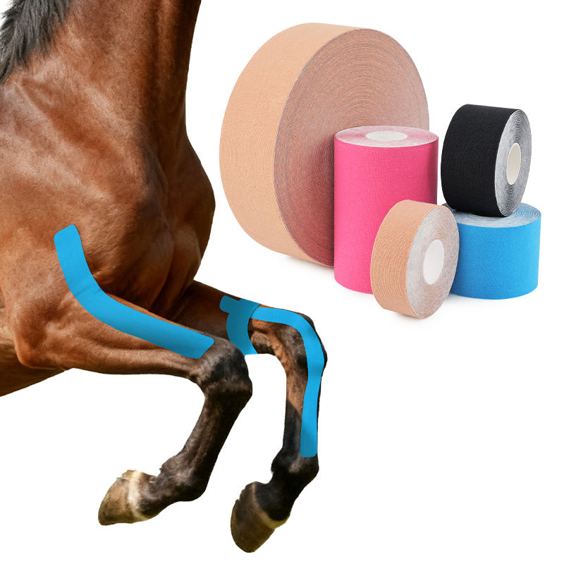 Equine Veterinary Kinesiology Tape