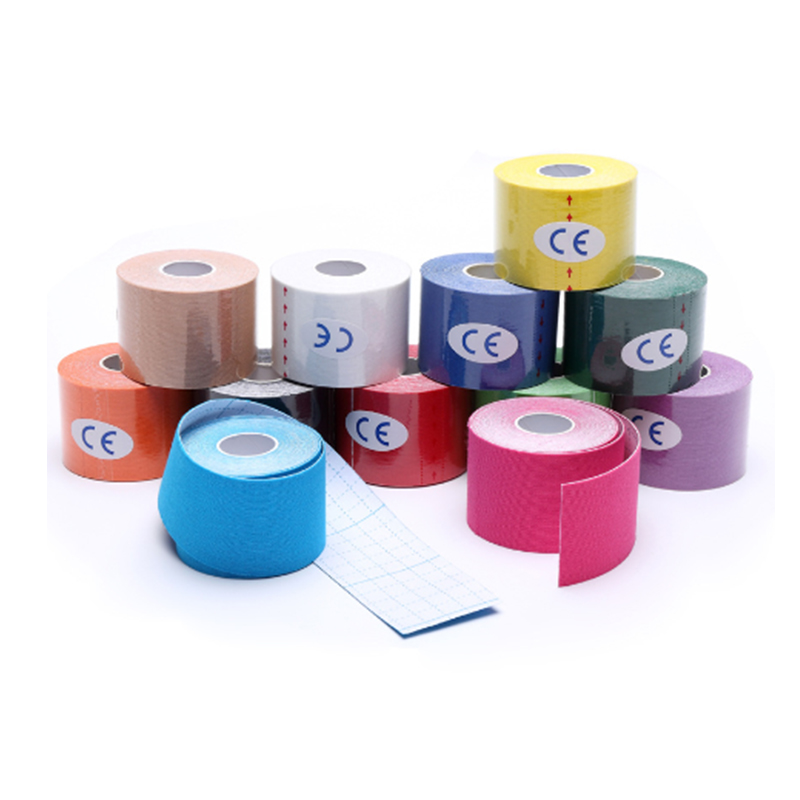 Canine Cat Small Animal Kinesiology Taping