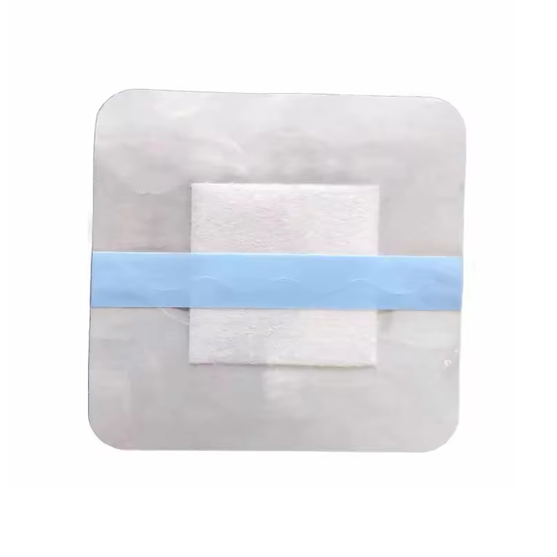 Alginate Dressing with Film Backing