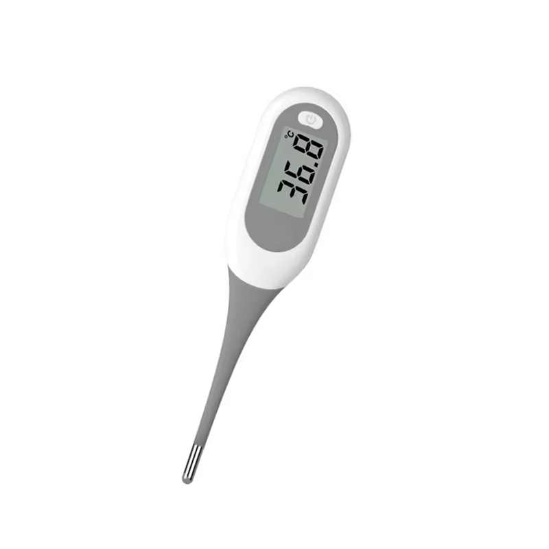 Oral Digital Thermometers
