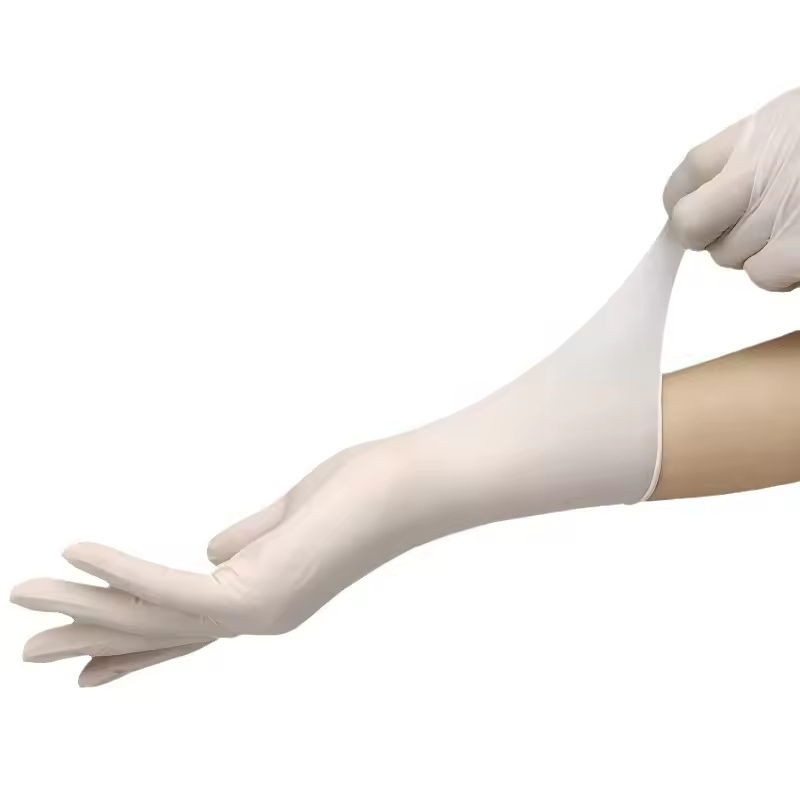 Latex Examination Gloves